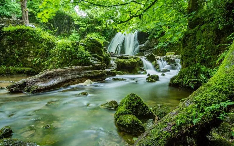 先进可靠性高标准